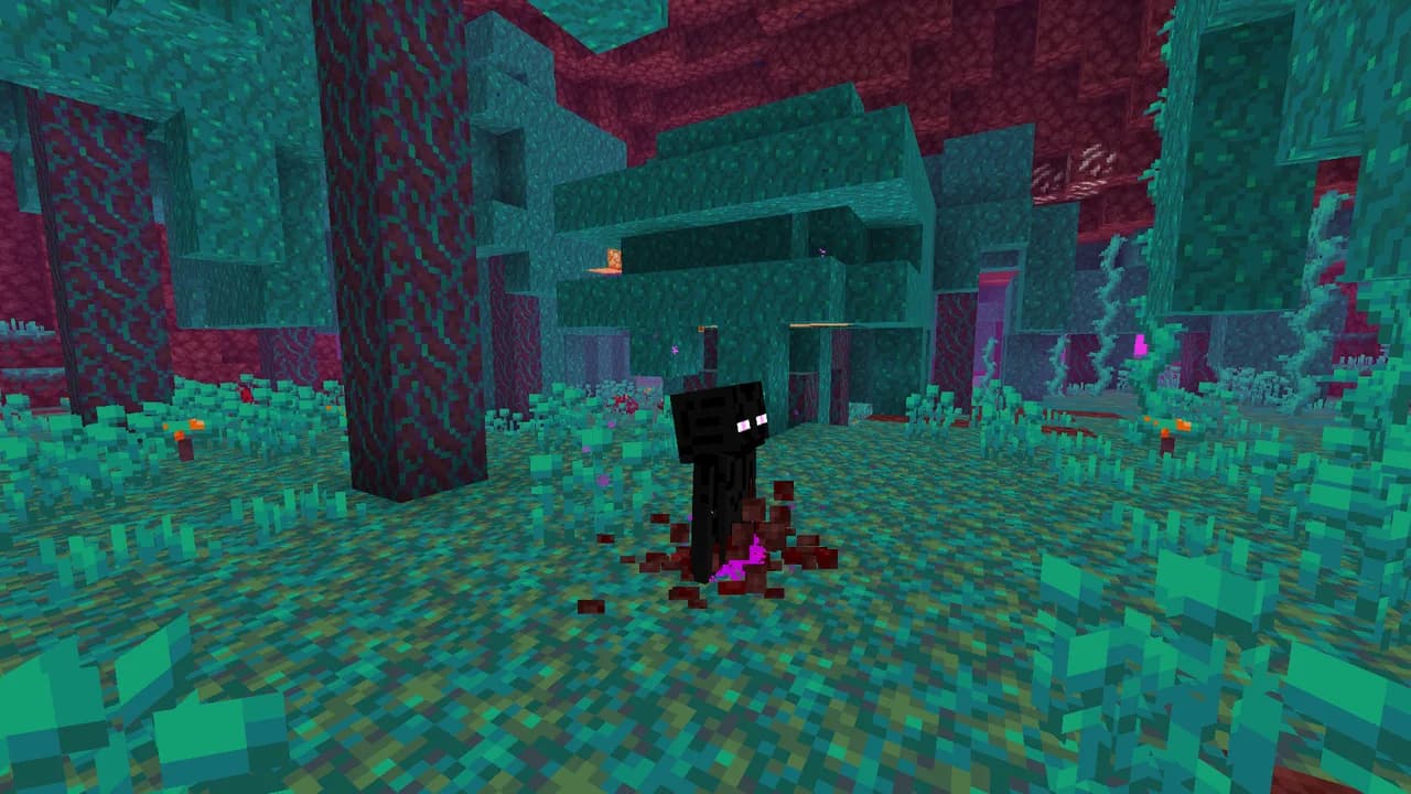 Spawn Animations — дата-пак для Minecraft 1.16.5