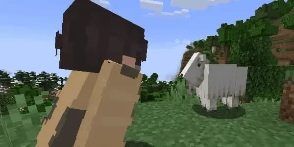 PatPat [Mod & Plugin] — плагин для Minecraft 1.21
