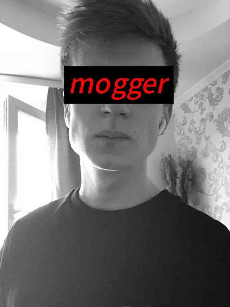 moggercraft